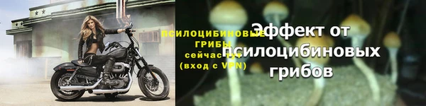 крисы Ладушкин